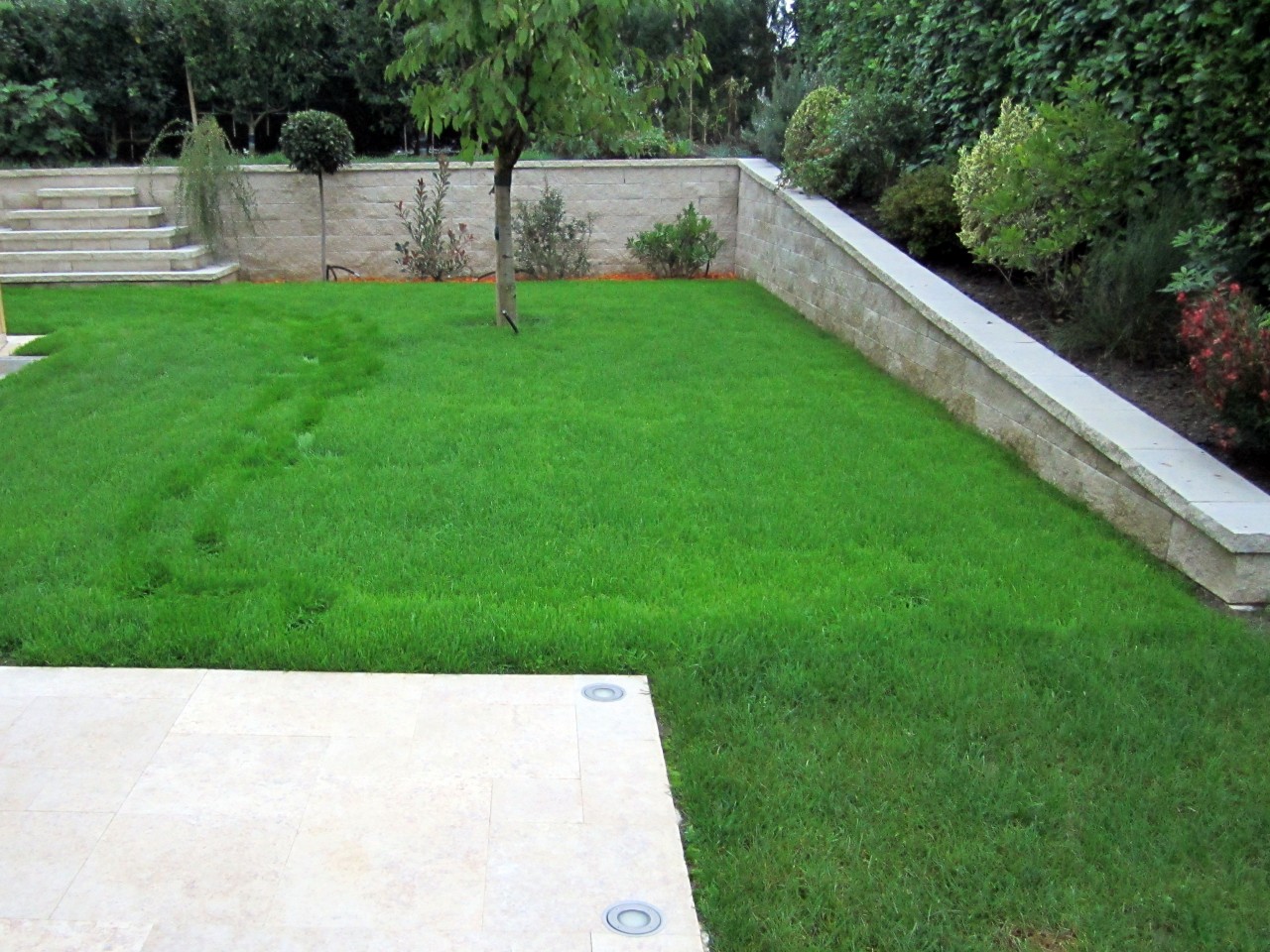 Terrasse et mur de soutènement en pierre naturelle