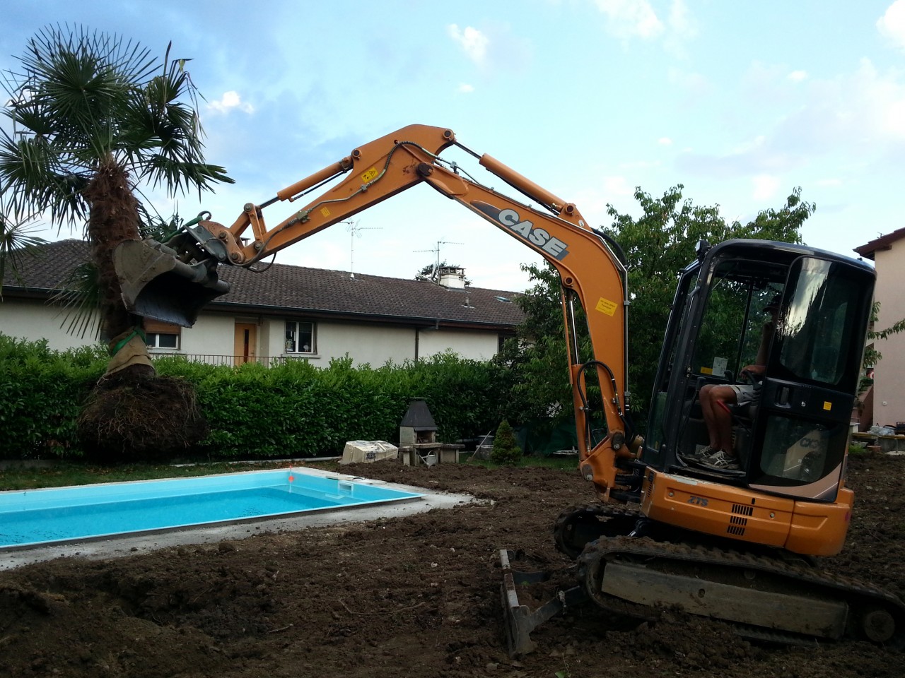 Plantation de grands arbres