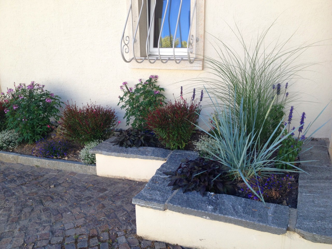 Plantation de vivaces