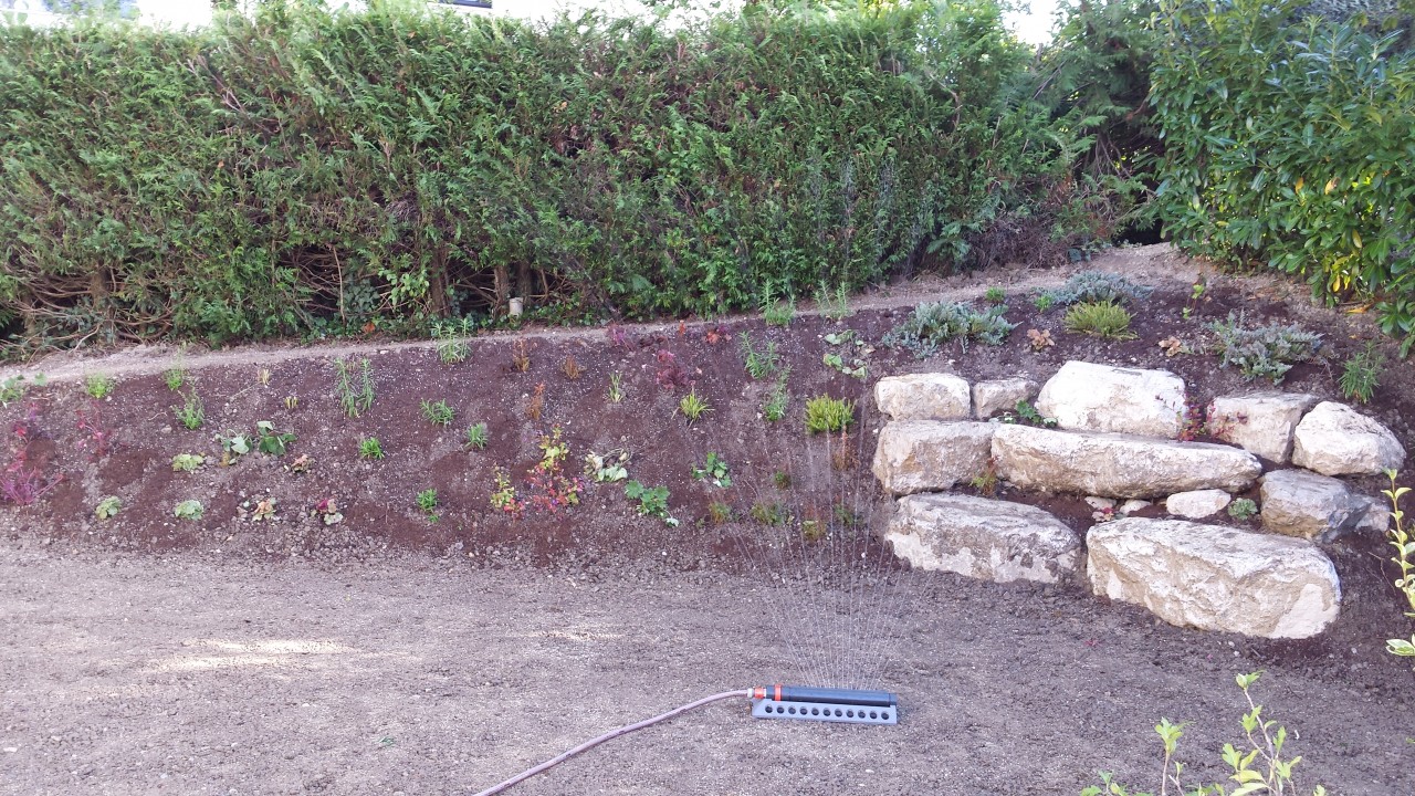 Plantation et aménagement d’un talus